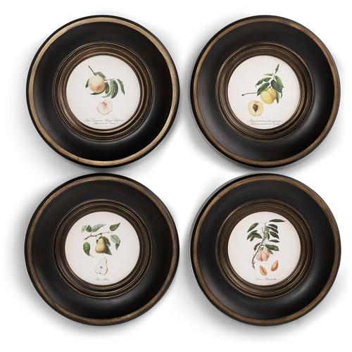 Jonathan Charles | Product List